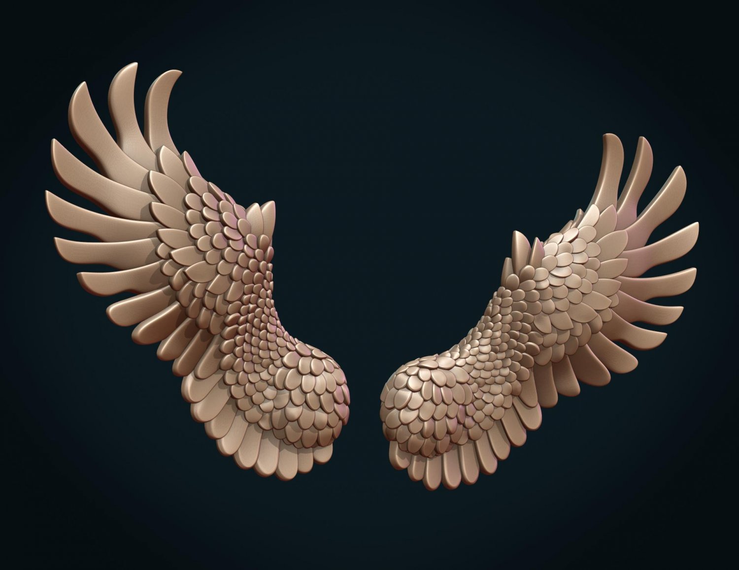 3d models wings
