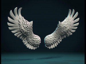 wings ii 3D Baskı Modeli