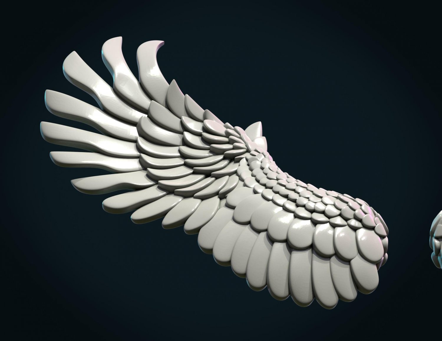 3d models wings. 3 D модель крыла. Model Wings. Крылья 3d модель.