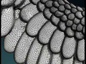 wings ii 3D Print Model