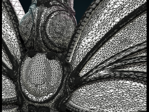 butterfly iii 3D 打印模型