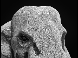 asian elephant ii 3D 打印模型