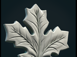 maple leaf ii 3D 打印模型