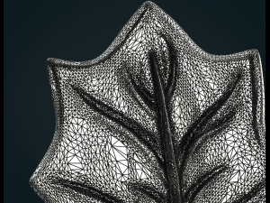 maple leaf ii 3D 打印模型