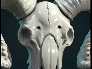 Goat Skull 3D Print Model