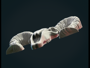 Goat Skull 3D Print Model
