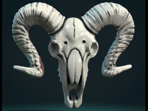 Goat Skull 3D Print Model