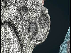 Goat Skull 3D Print Model
