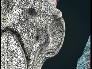 Goat Skull 3D Print Model