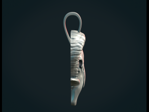 Goat Skull 3D Print Model