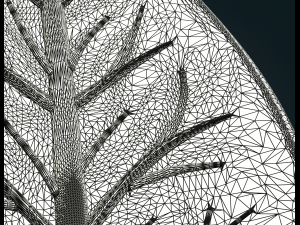 Leaf A 3D 打印模型
