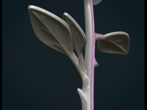 Rose Flower 3Dプリントモデル