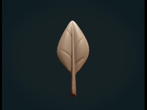 Leaves 3D Print Model