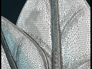 Leaves 3D 打印模型
