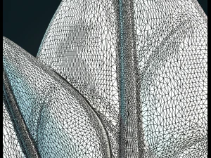 Leaves 3D Print Model