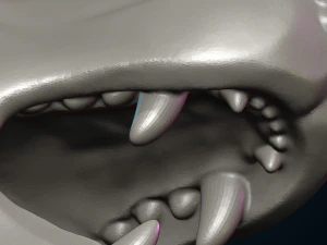 Wolf Head 3D Print Model