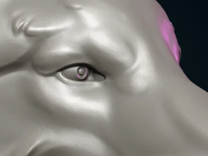 Wolf Head 3D Print Model