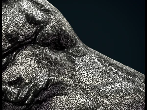 Wolf Head 3D Print Model