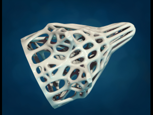 Mesh Wolf head 3D 打印模型