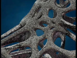 Cabe&ccedil;a de lobo em malha Modelo de Impressão 3D