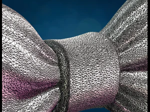 Bow Tie 3D Print Model