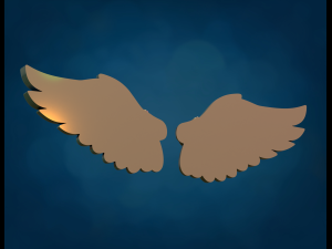 Wings Relief 3D Print Model