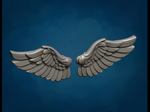 Wings Relief 3D Print Model