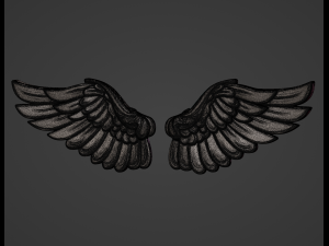 Wings Relief 3D Print Model