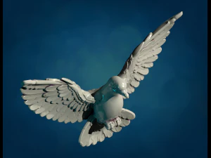 Pigeon III 3D Print Model