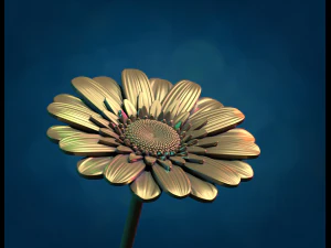Daisy Flower 3D Print Model
