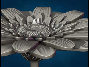 Daisy Flower 3D Print Model