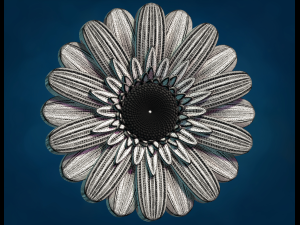 Daisy Flower 3D 打印模型