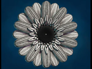 Daisy Flower 3D Print Model