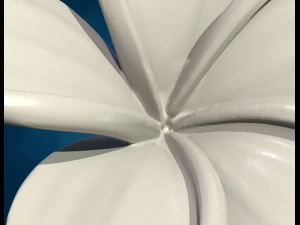 Plumeria Flower 3D Принт Модель