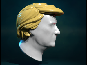 Trump Hair Hairstyle 3D Принт Модель