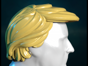 Trump Hair Hairstyle 3D Принт Модель