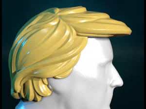 Trump Hair Hairstyle 3D Print Model