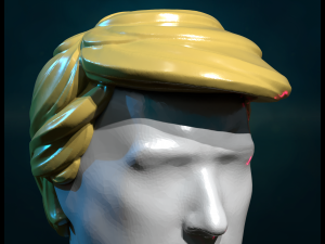 Trump Hair Hairstyle 3D Принт Модель