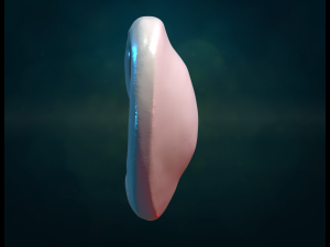 Ear pendant Modello di stampa 3D