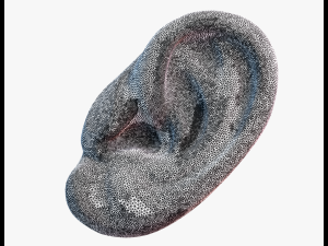 Ear pendant Modello di stampa 3D