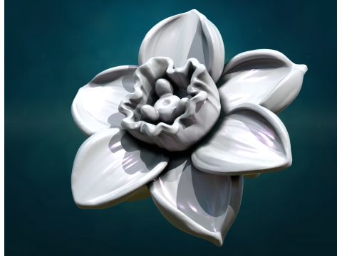 Narcissus Model do druku 3D