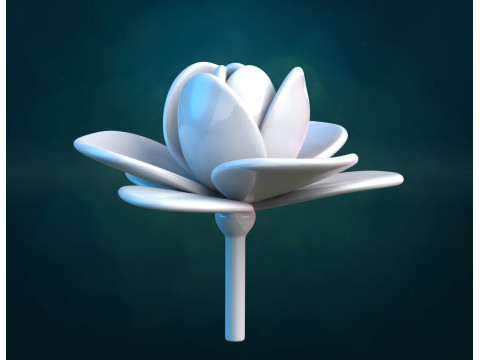 Rose Begonia Flower 3D Print Model