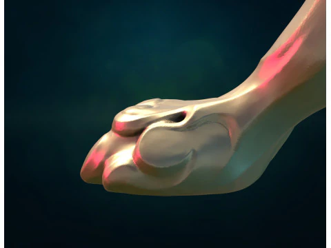 Lion Leg paw 3D Print Model