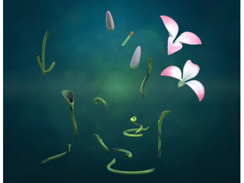 Lily flower Assembly 3D Print Model