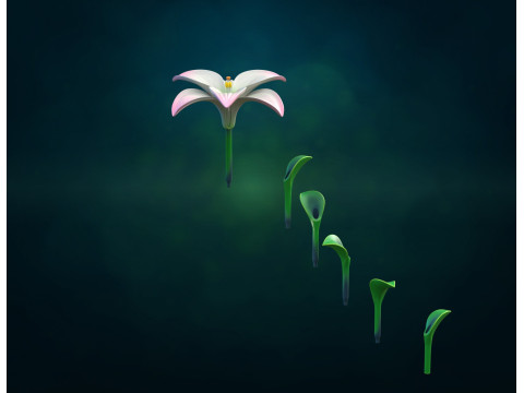 Lily II flower Assembly 3D Print Model