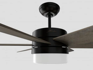 Avcı hayranı 3D Model