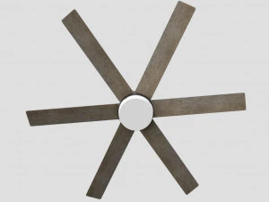 Avcı hayranı 3D Model