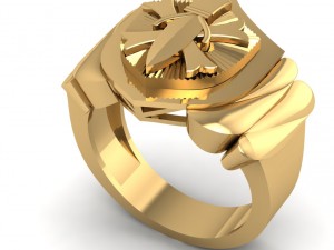3d gold ring file cad design format 14 3D Print Model