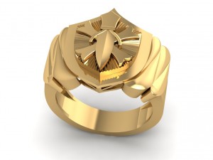 3d gold ring file cad design format 14 Model do druku 3D
