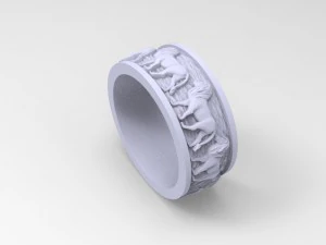 17ov 01 02r 3D Print Model